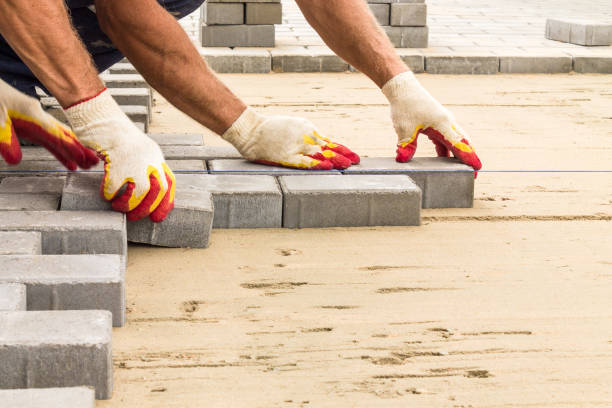 Best Commercial Driveway Pavers  in Carrollwood, FL