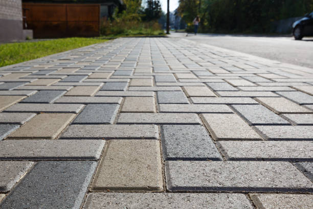 Best Best Driveway Pavers  in Carrollwood, FL