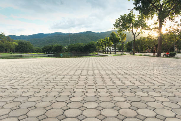 Best Driveway Resurfacing Pavers  in Carrollwood, FL