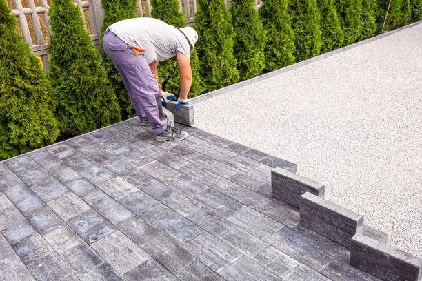 Best Brick Driveway Pavers  in Carrollwood, FL