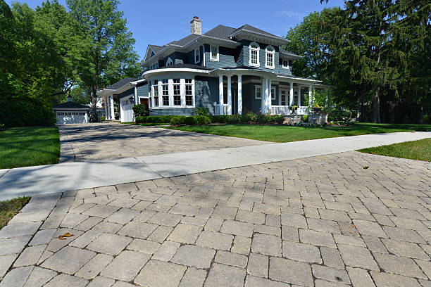 Best Driveway Paving Contractor  in Carrollwood, FL