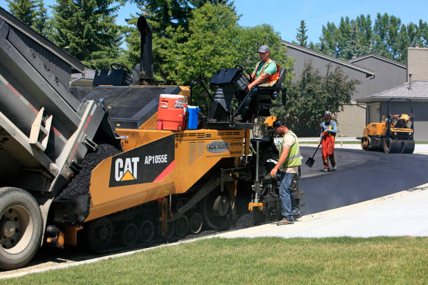 Trusted Carrollwood, FL Driveway Pavers Experts